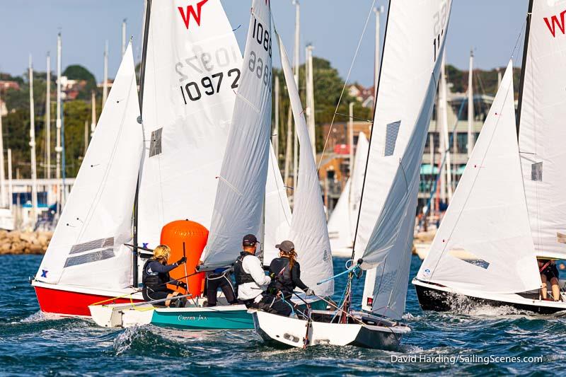 Day 5 of Bournemouth Digital Poole Week photo copyright David Harding / www.sailingscenes.com taken at Parkstone Yacht Club and featuring the Wayfarer class