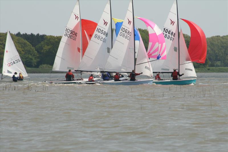 Wayfarer Easterns at Waldringfield photo copyright Alexis Smith taken at Waldringfield Sailing Club and featuring the Wayfarer class