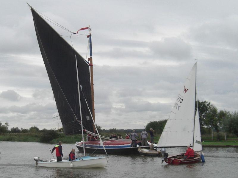 The wherry Albion glides past during the Wayfarer International Rally on the Norfolk Broads photo copyright Mike Playle taken at  and featuring the Wayfarer class