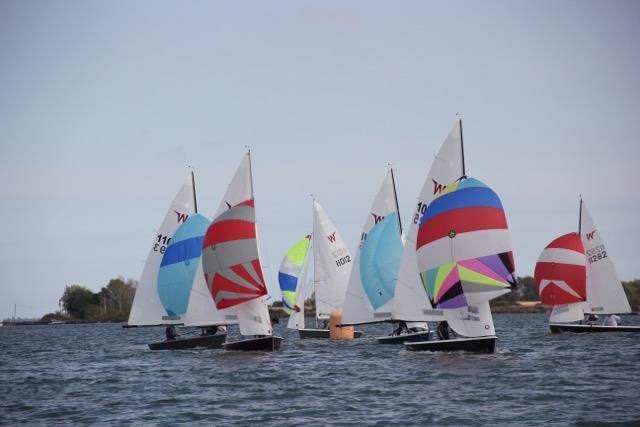 Wayfarer Eastern Championship at Blackwater - photo © Zoe Nelson