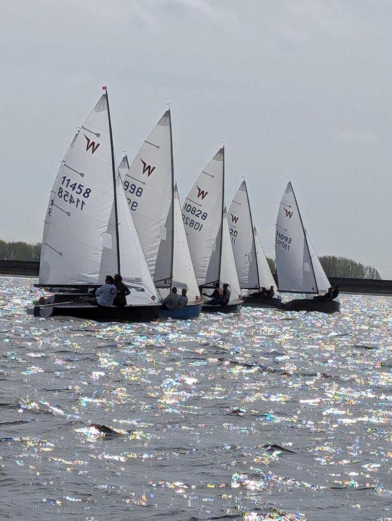 Wayfarer Inlands 2024 at Datchet photo copyright DWSC taken at Datchet Water Sailing Club and featuring the Wayfarer class