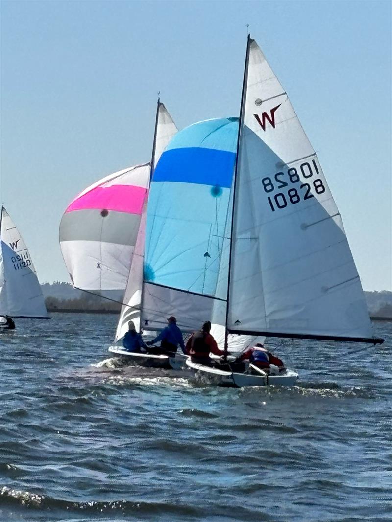 Wayfarer Open at Datchet Water photo copyright DWSC taken at Datchet Water Sailing Club and featuring the Wayfarer class