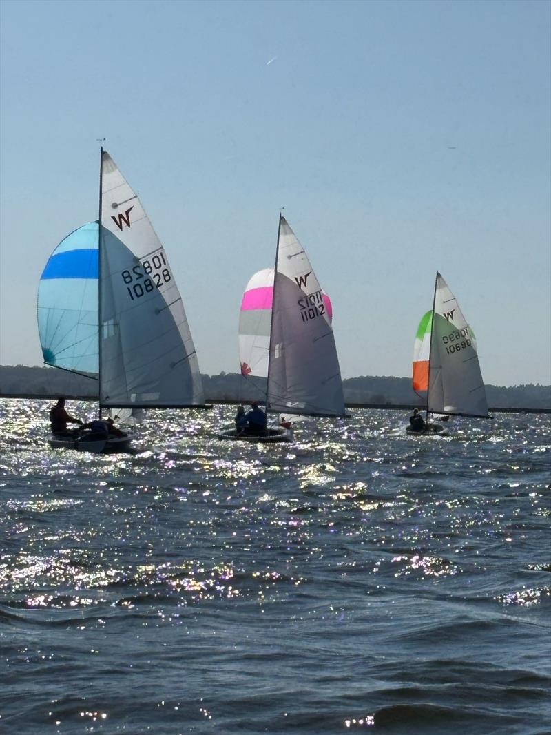 Wayfarer Open at Datchet Water photo copyright DWSC taken at Datchet Water Sailing Club and featuring the Wayfarer class