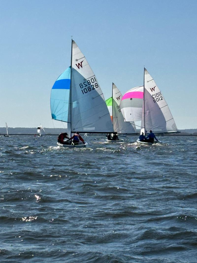 Wayfarer Open at Datchet Water photo copyright DWSC taken at Datchet Water Sailing Club and featuring the Wayfarer class