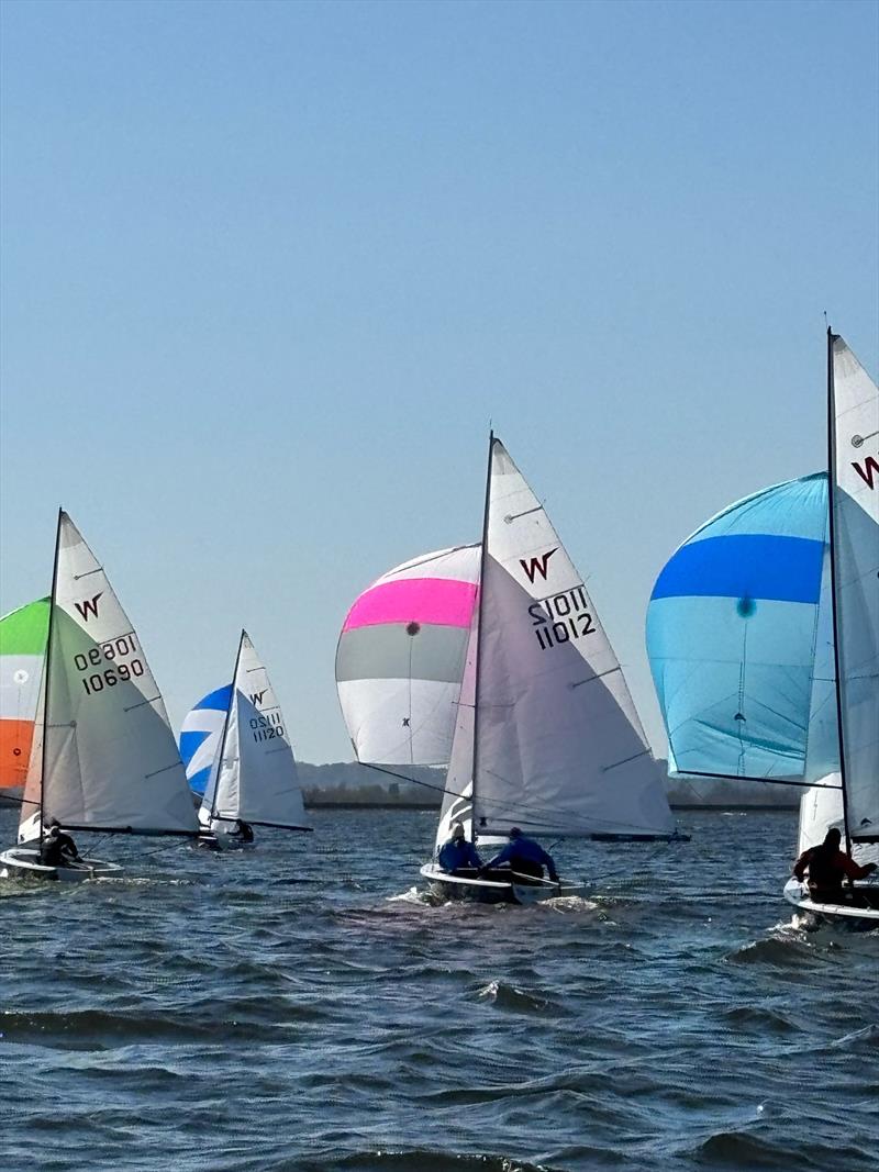 Wayfarer Open at Datchet Water photo copyright DWSC taken at Datchet Water Sailing Club and featuring the Wayfarer class