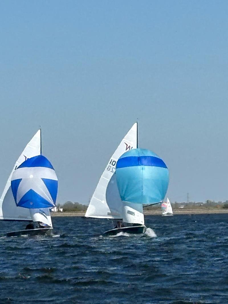 Wayfarer Open at Datchet Water photo copyright DWSC taken at Datchet Water Sailing Club and featuring the Wayfarer class
