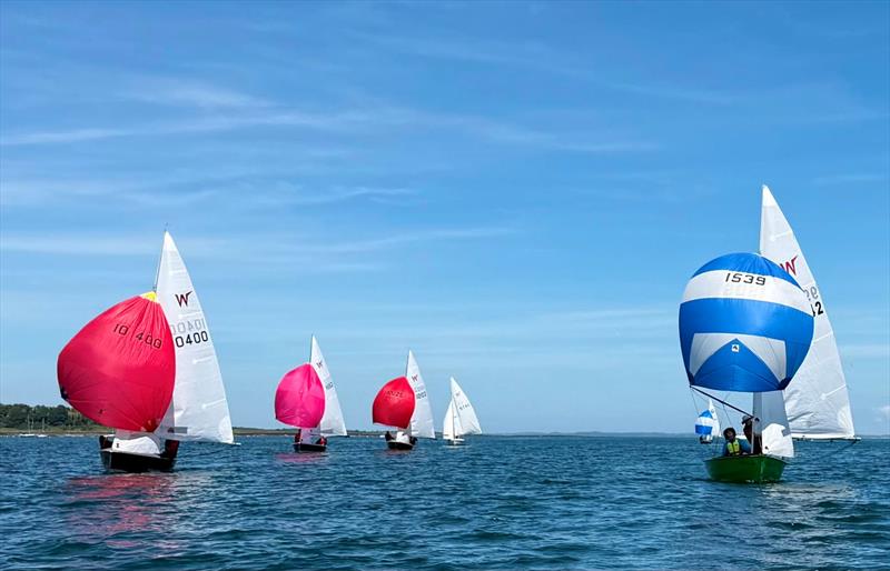 Alan Bell and Paul Matthews - Wayfarer week with Two Bouys Challenge at East Down photo copyright EDYC taken at East Down Yacht Club and featuring the Wayfarer class