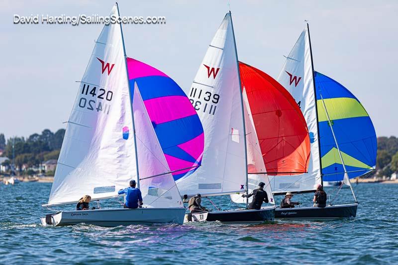 Poole Week 2026, In Association With Haven Knox-Johnston, Day 1 photo copyright David Harding / www.sailingscenes.com taken at Parkstone Yacht Club and featuring the Wayfarer class