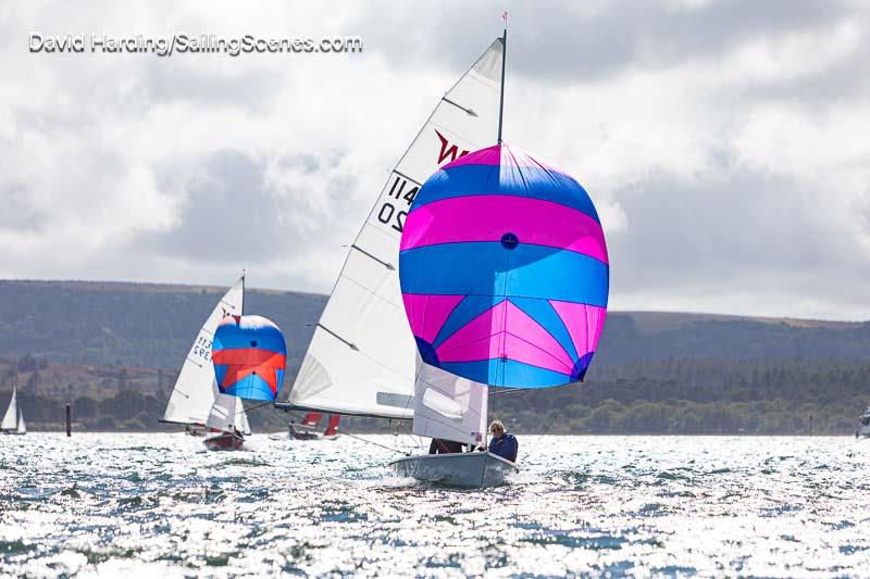 Dobson and Pygall, Wayfarer, Poole Week 2026, In Association With Haven Knox-Johnston, Day 5 - photo © David Harding / www.sailingscenes.com