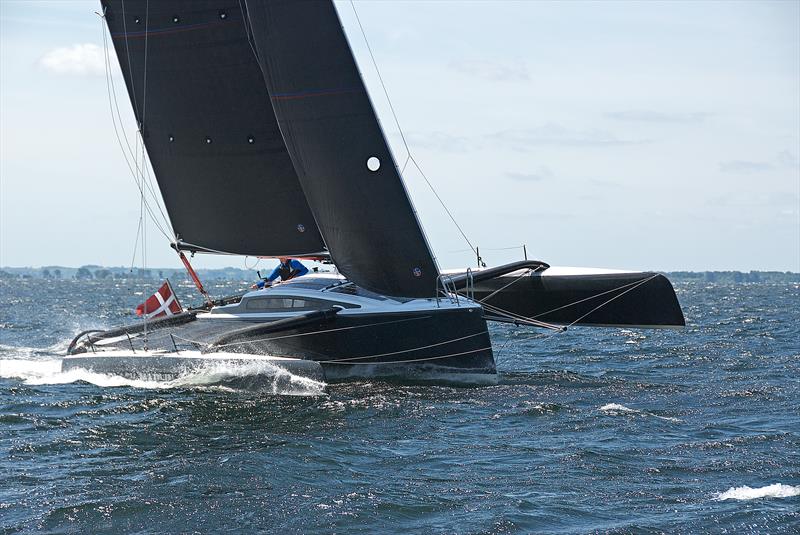 marlin trimaran price