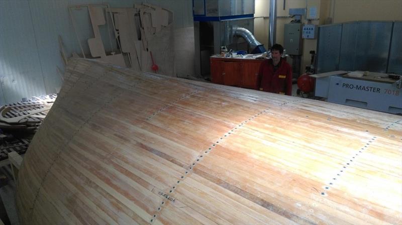 Croatian Gajeta build - cedar strip planks have cured into place and the wax-coated screws are being withdrawn - photo © West System International