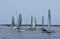Racecourse action at the Charlotte Harbor Regatta in the Weta class