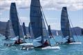 A dozen Wetas duking it out - Airlie Beach Race Week 2024 © Andrea Francolini