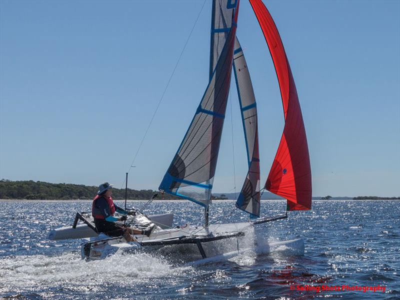 Australian Wetas ready for State Championships photo copyright Sailing Shotz Photography taken at Lake Cootharaba Sailing Club and featuring the Weta class