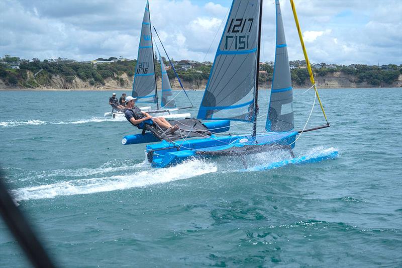 Australian Wetas ready for State Championships photo copyright Paul White taken at Lake Cootharaba Sailing Club and featuring the Weta class