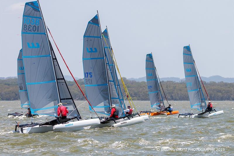 2019 Queensland Weta State Titles photo copyright Julie Hartwig - Sailing Shotz Photography taken at Lake Cootharaba Sailing Club and featuring the Weta class