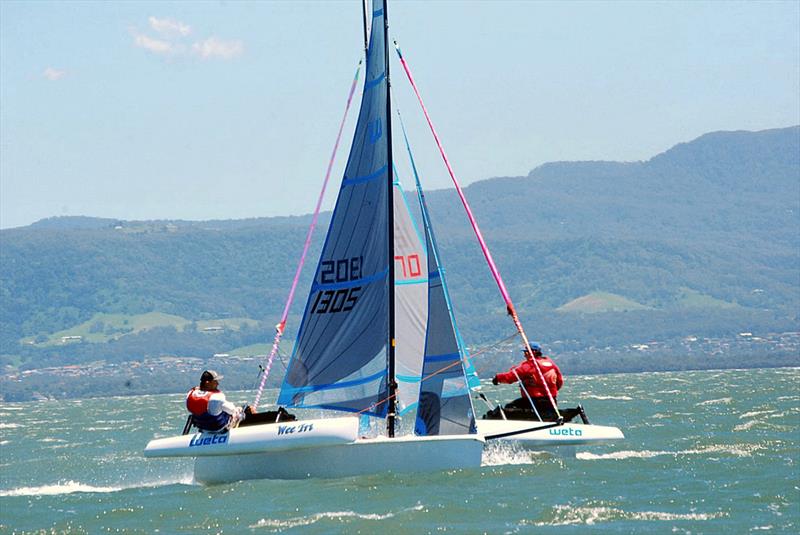 Australian Weta Class National Championships - Dualing Wetas of Andy Duffield (2nd, LCSC, QLD) and Todd McVey (4th, LCSC, QLD) photo copyright Aus Weta taken at Port Kembla Sailing Club and featuring the Weta class