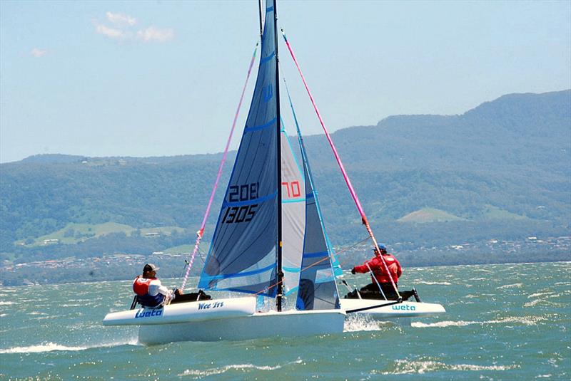 Australian Weta Class National Championships - Dualing Wetas of Andy Duffield (2nd, LCSC, QLD) and Todd McVey (4th, LCSC, QLD) photo copyright Aus Weta taken at Port Kembla Sailing Club and featuring the Weta class