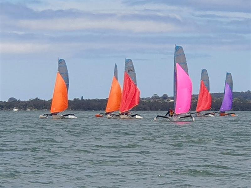 Australian Weta Class National Championships - Pink, Purple, Red, Orange Gennaker Colours 1280 x 960 photo copyright Aus Weta taken at Port Kembla Sailing Club and featuring the Weta class