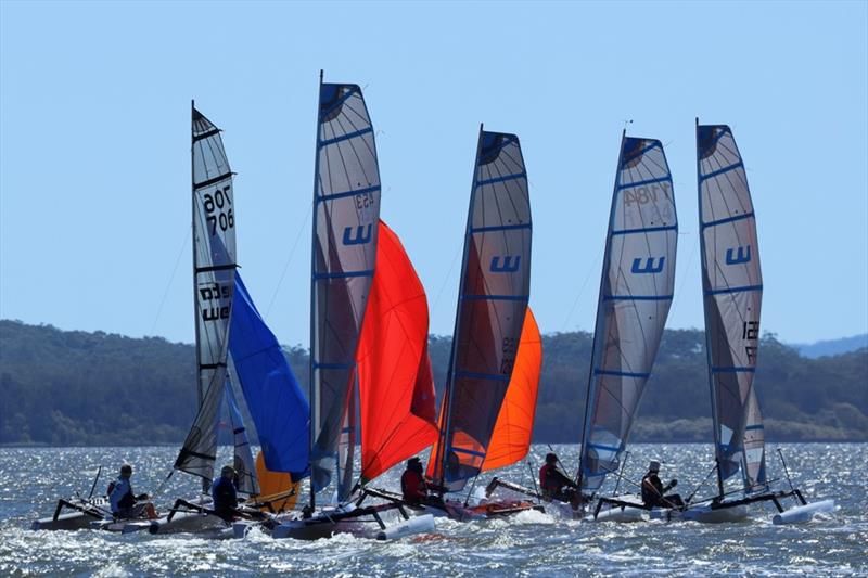 Tight racing in the nationals lead-up photo copyright Russell Witt taken at  and featuring the Weta class