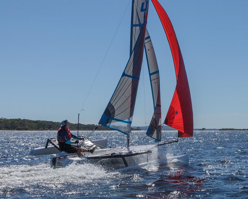 Just blasting along the Sandy Straits photo copyright Julie Hartwig taken at  and featuring the Weta class