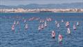 &copy; Sailing Energy / Trofeo Princesa Sofía Mallorca
