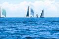 © Caribbean Foiling Championships