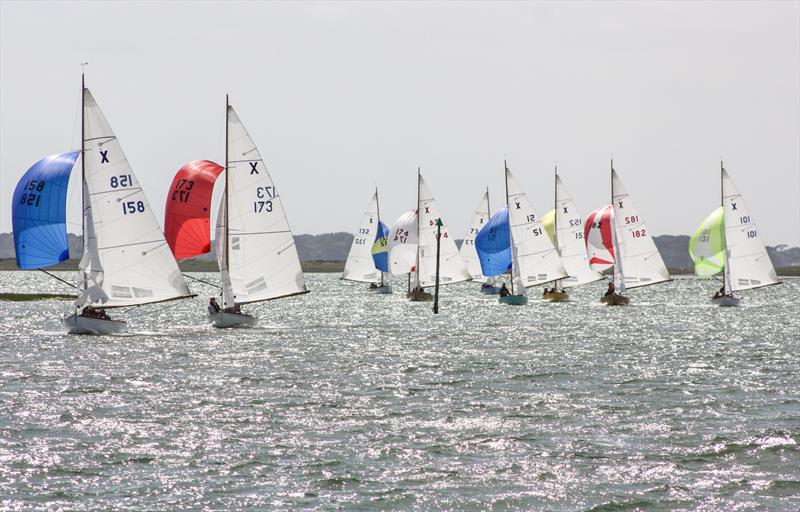 XODs out in full force at Itchenor's Points Week 2017 photo copyright Itchenor SC taken at Itchenor Sailing Club and featuring the XOD class