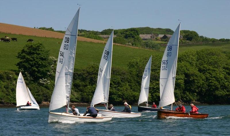 Dayboat Week at Salcombe photo copyright John Murrell taken at Salcombe Yacht Club and featuring the Yachting World Dayboat class