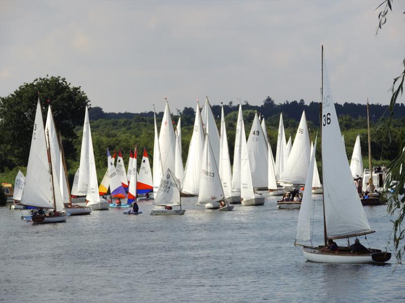 Horning Sailing Club Regatta Week photo copyright Holly Hancock taken at Horning Sailing Club and featuring the Yare & Bure One Design class