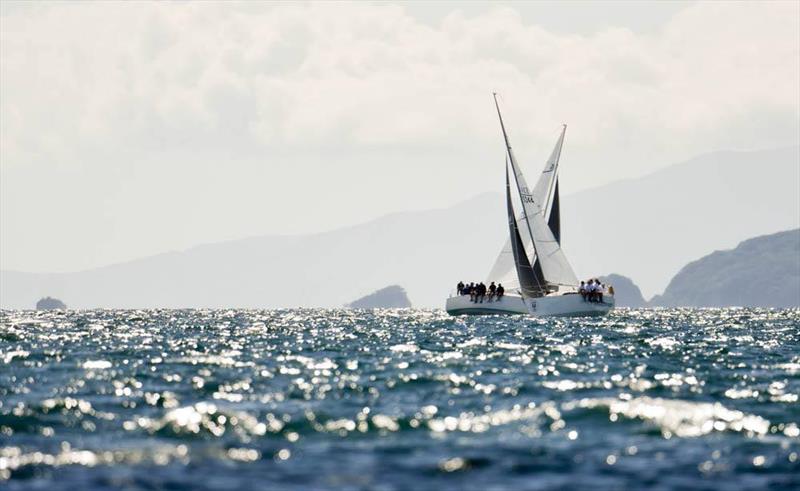 2017 Harken Young 88 Nationals photo copyright Lissa Reyden of LiveSailDie taken at Royal New Zealand Yacht Squadron and featuring the Young 88 class