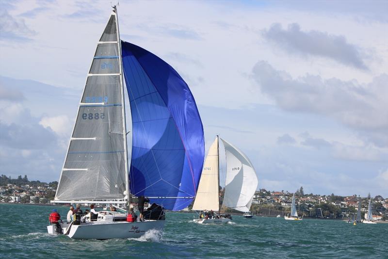 Perfect Alibi - 2018 Jack Tar Auckland Regatta - Day 1 photo copyright Andrew Delves taken at Royal New Zealand Yacht Squadron and featuring the Young 88 class