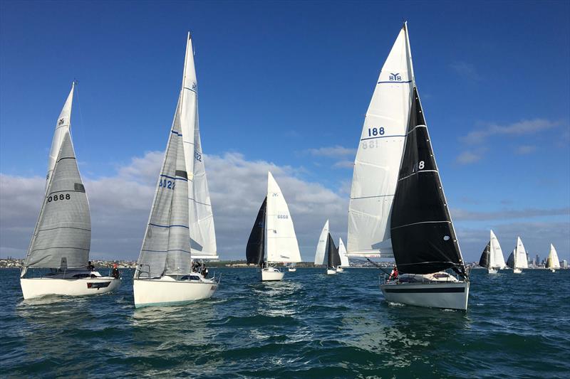 Young 88 two-handed champs - Bucklands Beach Yacht Club - Auckland - May 2020 photo copyright Young 88 Owners Association taken at Bucklands Beach Yacht Club and featuring the Young 88 class