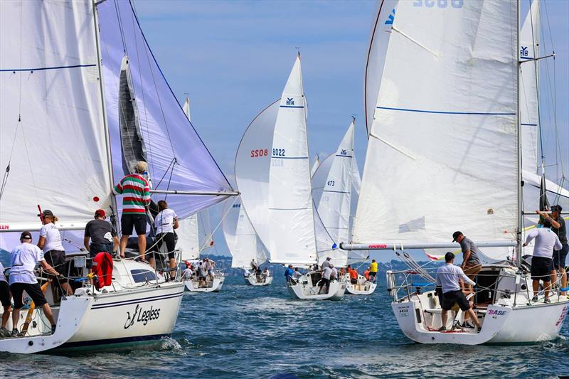 A big fleet will contest the Young 88 Nationals once again. - photo © Rachel von Zalinski - Live Sail Die