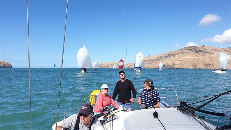 Racing in the 2019 Young 88 South Island Championships - photo © Young 88 Class