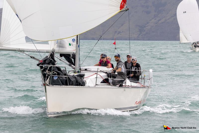 North Sails Southern Young 88 Nationals - Akaroa Harbour, New Zealand photo copyright Alister Winter taken at  and featuring the Young 88 class