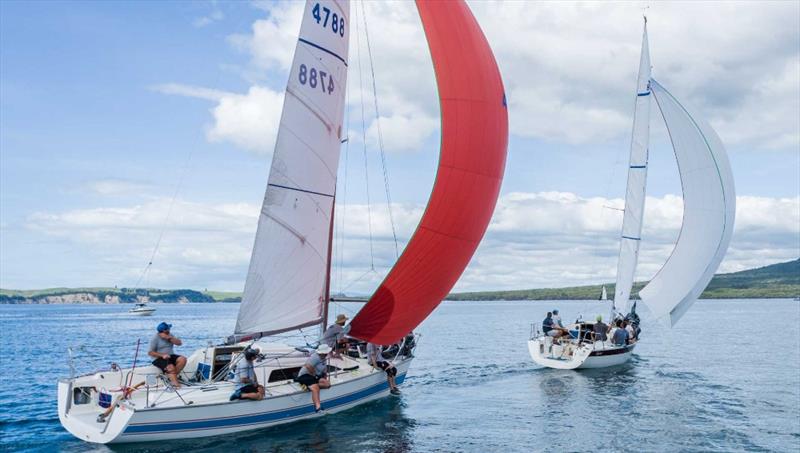 2023 Harken Young 88 National Championships photo copyright LiveSailDie taken at Royal New Zealand Yacht Squadron and featuring the Young 88 class